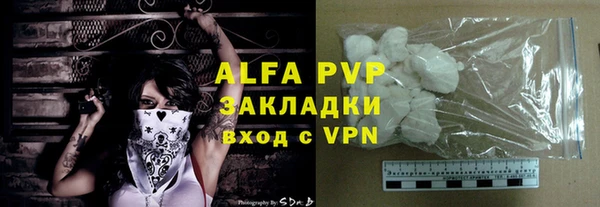 apvp Гусев