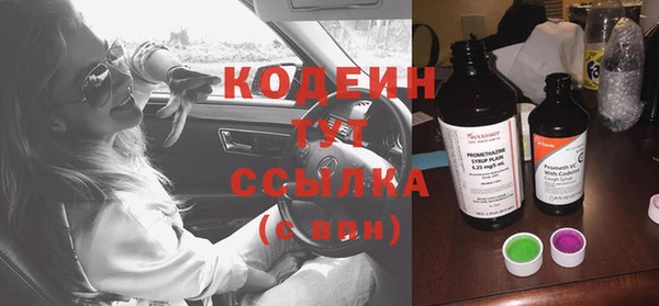 эйфоретик Гусь-Хрустальный