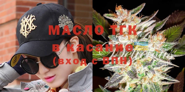 эйфоретик Гусь-Хрустальный