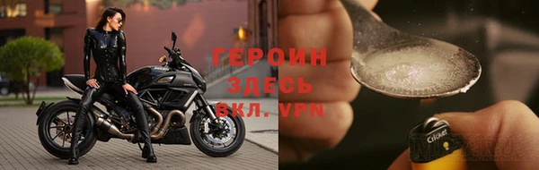 apvp Гусев