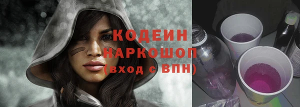 эйфоретик Гусь-Хрустальный