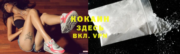 эйфоретик Гусь-Хрустальный