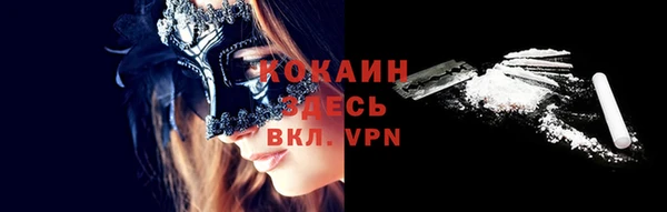 apvp Гусев