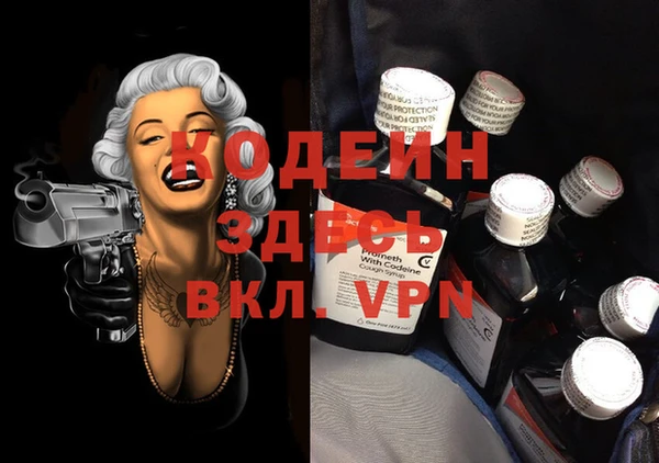 эйфоретик Гусь-Хрустальный