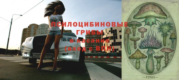 стафф Гусиноозёрск