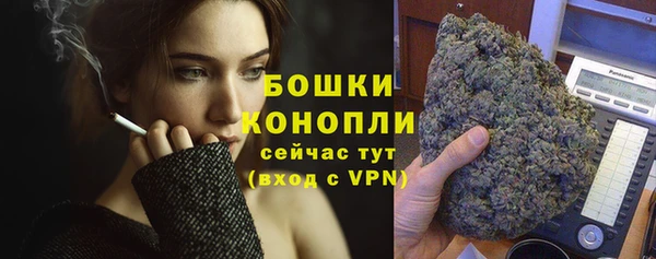 эйфоретик Гусь-Хрустальный