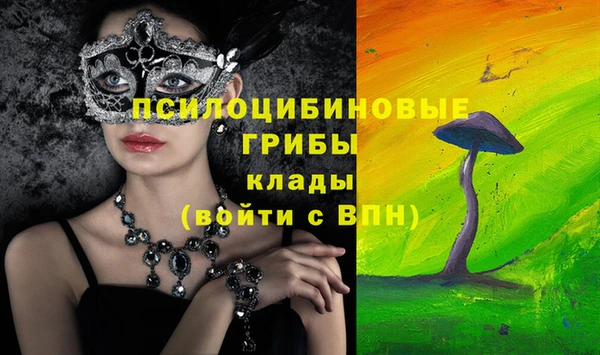эйфоретик Гусь-Хрустальный